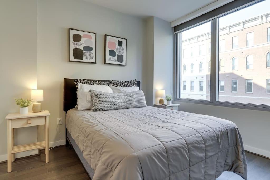 Gorgeous 1 Bedroom At Clarendon With Gym And Rooftop * Arlington